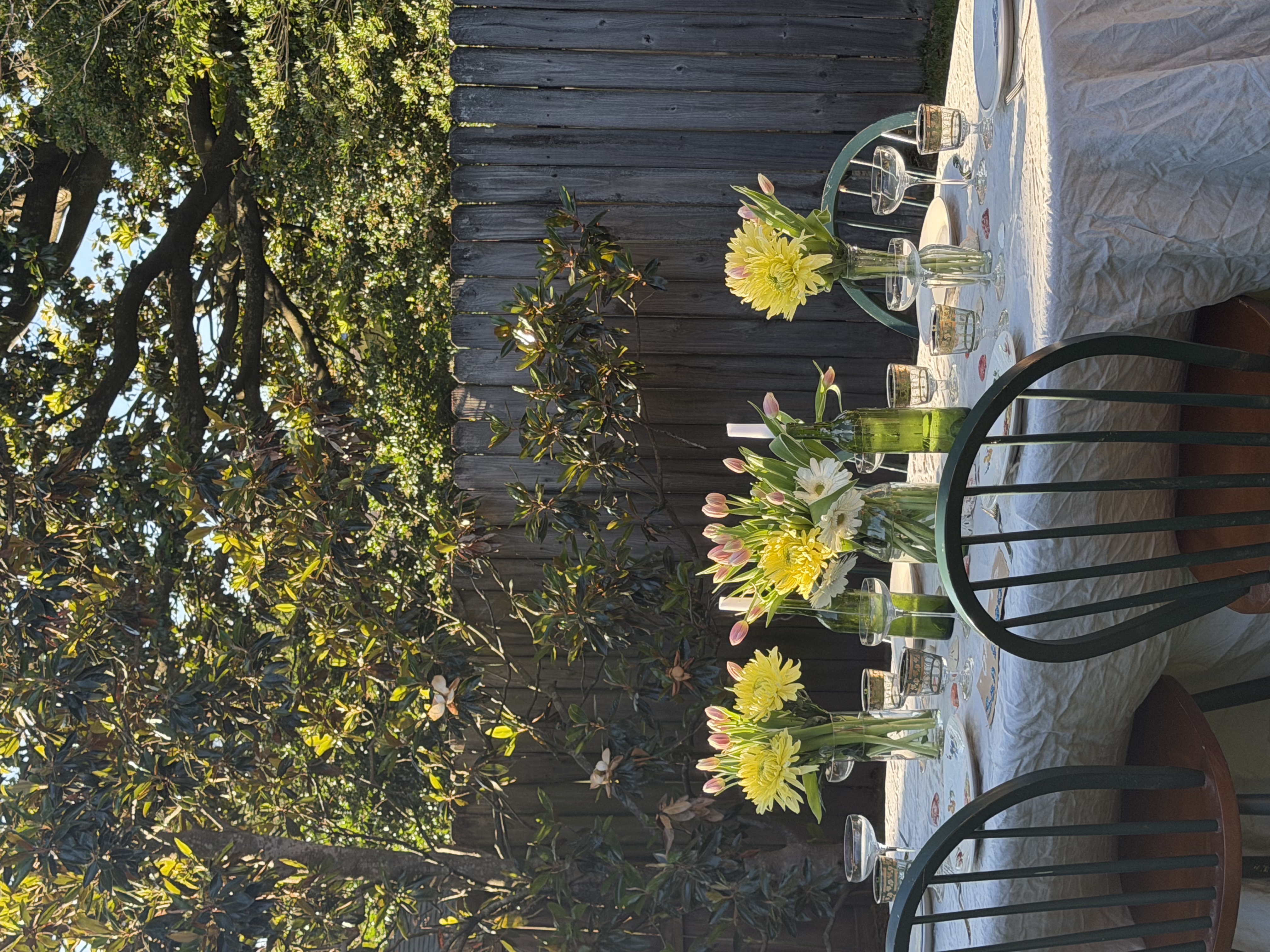 An outdoor dinner table set under a magnolia tree at golden hour